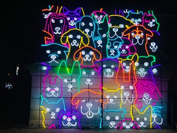 神戸イルミナージュに投稿された画像（2023/12/12）