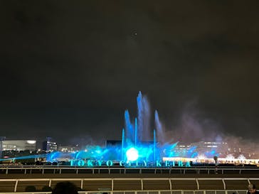 東京メガイルミに投稿された画像（2023/12/12）