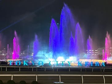 東京メガイルミに投稿された画像（2023/12/12）