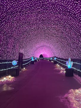 NESTA RESORT KOBE（ネスタリゾート神戸）に投稿された画像（2023/12/12）