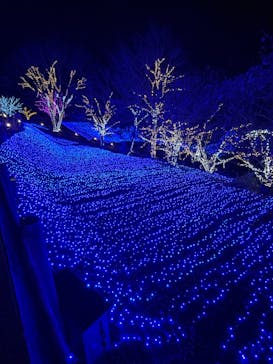NESTA RESORT KOBE（ネスタリゾート神戸）に投稿された画像（2023/12/12）