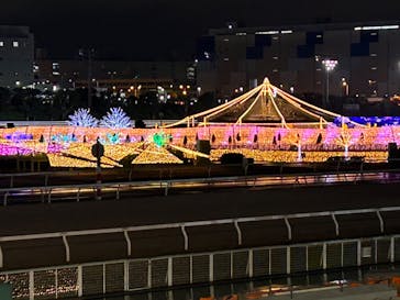 東京メガイルミに投稿された画像（2023/12/12）