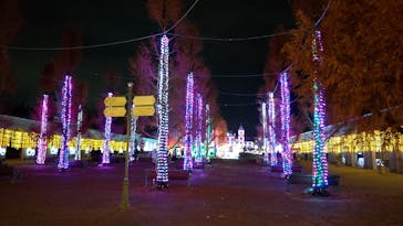 神戸イルミナージュに投稿された画像（2023/12/12）