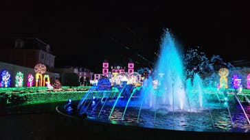 神戸イルミナージュに投稿された画像（2023/12/12）