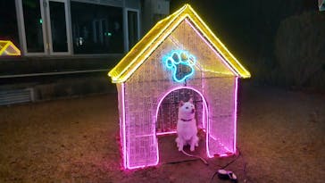 神戸イルミナージュに投稿された画像（2023/12/12）