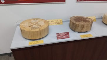 首里城公園 有料区域に投稿された画像（2023/12/12）