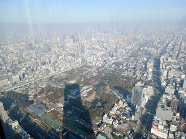 ハルカス300(展望台)に投稿された画像（2023/12/12）