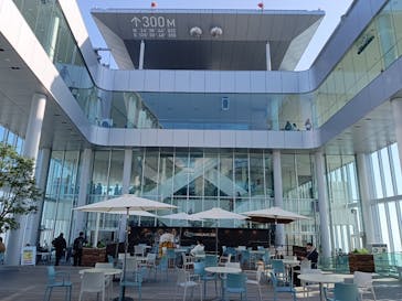 ハルカス300(展望台)に投稿された画像（2023/12/12）