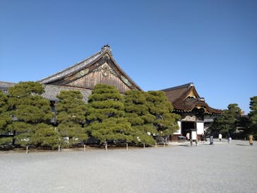 元離宮二条城に投稿された画像（2023/12/8）