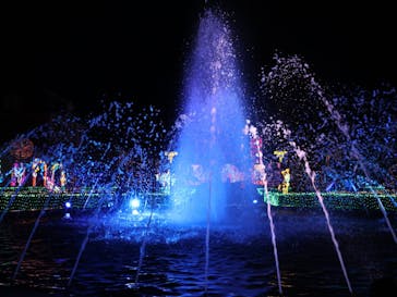 神戸イルミナージュに投稿された画像（2023/12/13）