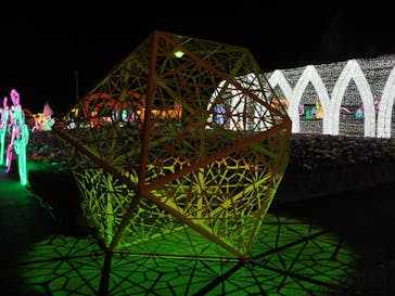 神戸イルミナージュに投稿された画像（2023/12/13）