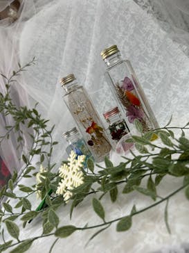 ずこうしつ〜sugamo〜に投稿された画像（2023/12/13）