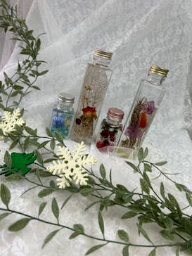 ずこうしつ〜sugamo〜に投稿された画像（2023/12/13）