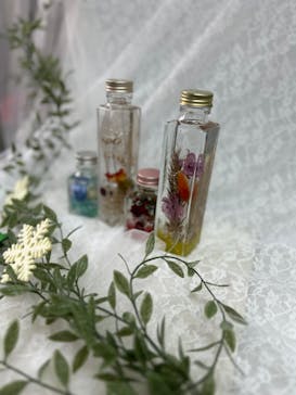 ずこうしつ〜sugamo〜に投稿された画像（2023/12/13）