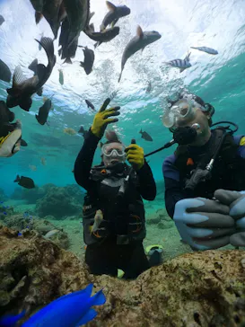 武藤潜水に投稿された画像（2023/12/13）