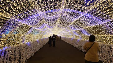 東京メガイルミに投稿された画像（2023/12/13）