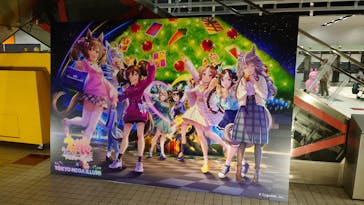 東京メガイルミに投稿された画像（2023/12/13）