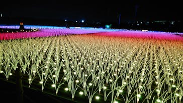 東京メガイルミに投稿された画像（2023/12/13）