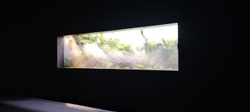 AOAO SAPPOROに投稿された画像（2023/12/13）