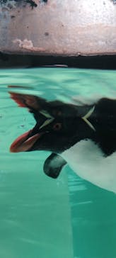 AOAO SAPPOROに投稿された画像（2023/12/13）