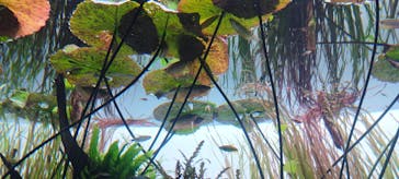 AOAO SAPPOROに投稿された画像（2023/12/13）