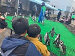 越前松島水族館に投稿された画像（2023/12/13）
