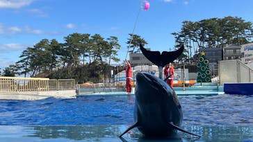 越前松島水族館に投稿された画像（2023/12/13）