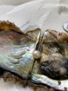 越前松島水族館に投稿された画像（2023/12/13）