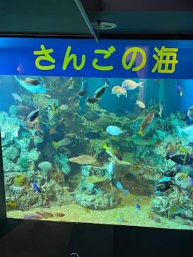 越前松島水族館に投稿された画像（2023/12/13）