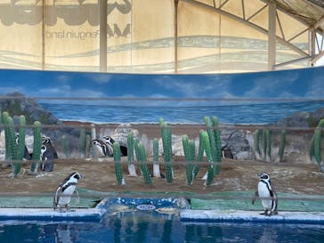 越前松島水族館に投稿された画像（2023/12/13）