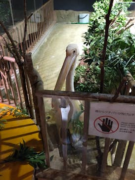 DMMかりゆし水族館に投稿された画像（2023/12/13）