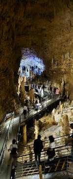 おきなわワールドに投稿された画像（2023/12/13）