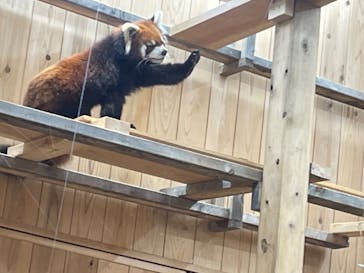 名古屋市東山動植物園に投稿された画像（2023/12/13）