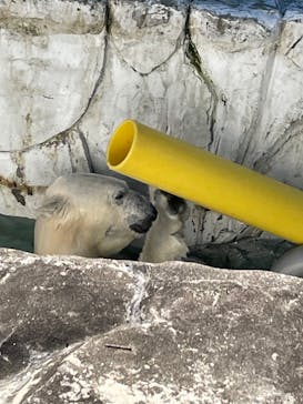 名古屋市東山動植物園に投稿された画像（2023/12/13）