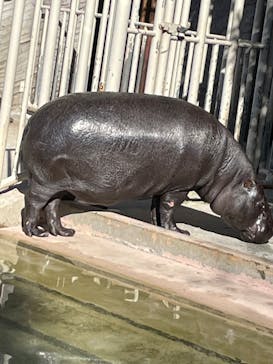 名古屋市東山動植物園に投稿された画像（2023/12/13）