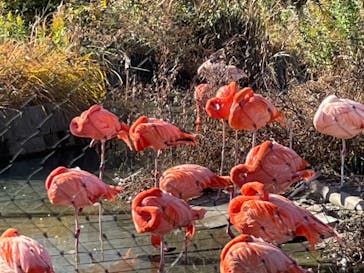 名古屋市東山動植物園に投稿された画像（2023/12/13）