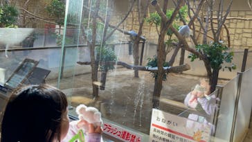 名古屋市東山動植物園に投稿された画像（2023/12/13）