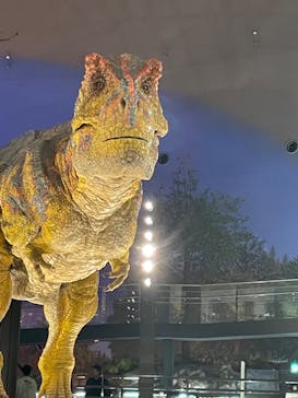 福井県立恐竜博物館に投稿された画像（2023/12/13）