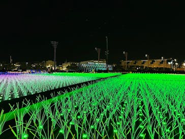 東京メガイルミに投稿された画像（2023/12/13）