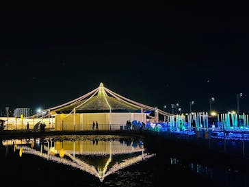 東京メガイルミに投稿された画像（2023/12/13）