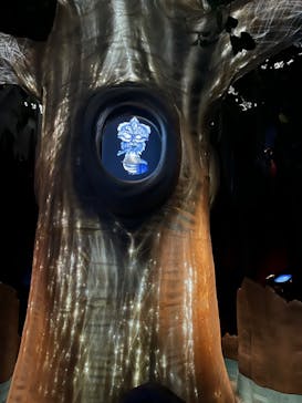 東京ジョイポリスに投稿された画像（2023/12/13）