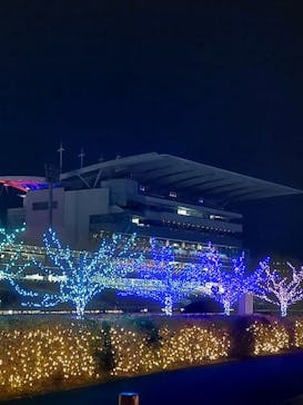 東京メガイルミに投稿された画像（2023/12/13）