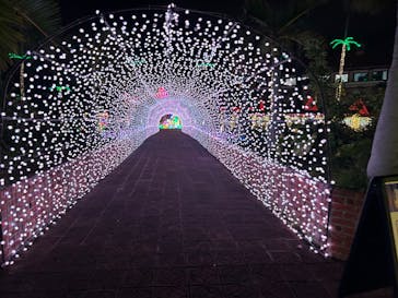 美らヤシパークオキナワ・東南植物楽園に投稿された画像（2023/12/13）