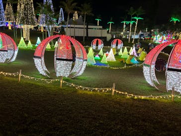 美らヤシパークオキナワ・東南植物楽園に投稿された画像（2023/12/13）