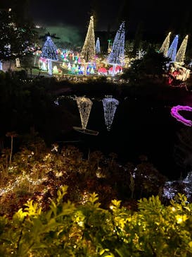 美らヤシパークオキナワ・東南植物楽園に投稿された画像（2023/12/13）