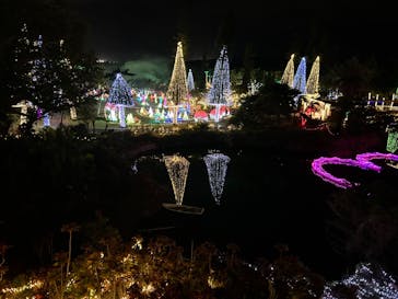 美らヤシパークオキナワ・東南植物楽園に投稿された画像（2023/12/13）