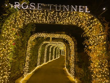 いばらきフラワーパークに投稿された画像（2023/12/13）