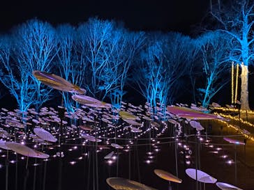 いばらきフラワーパークに投稿された画像（2023/12/13）