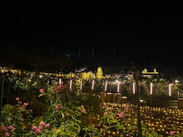 いばらきフラワーパークに投稿された画像（2023/12/13）