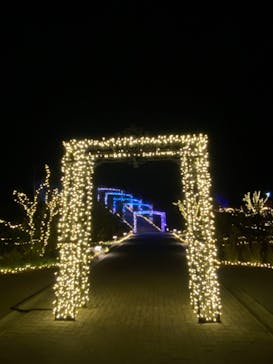 いばらきフラワーパークに投稿された画像（2023/12/13）